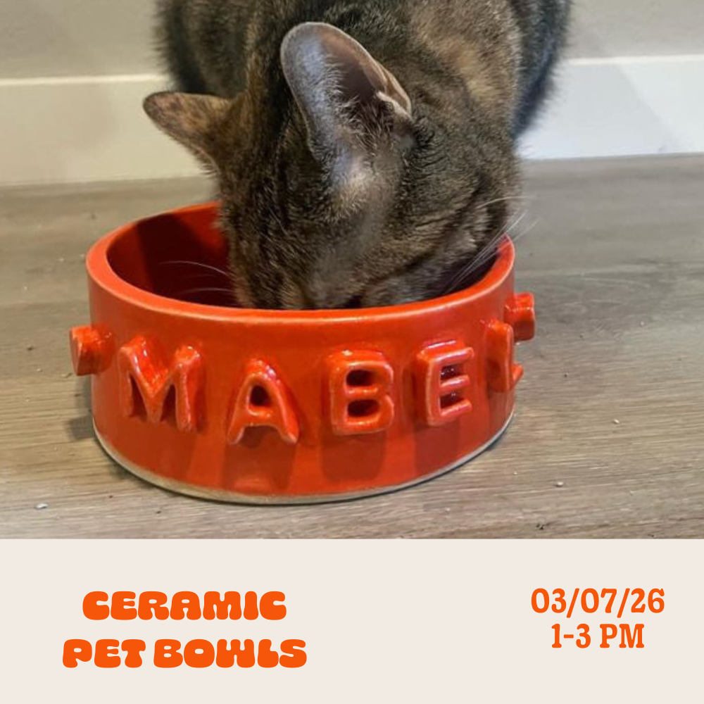 Pet Bowl Workshop: Saturday • March 7th • 1-3pm