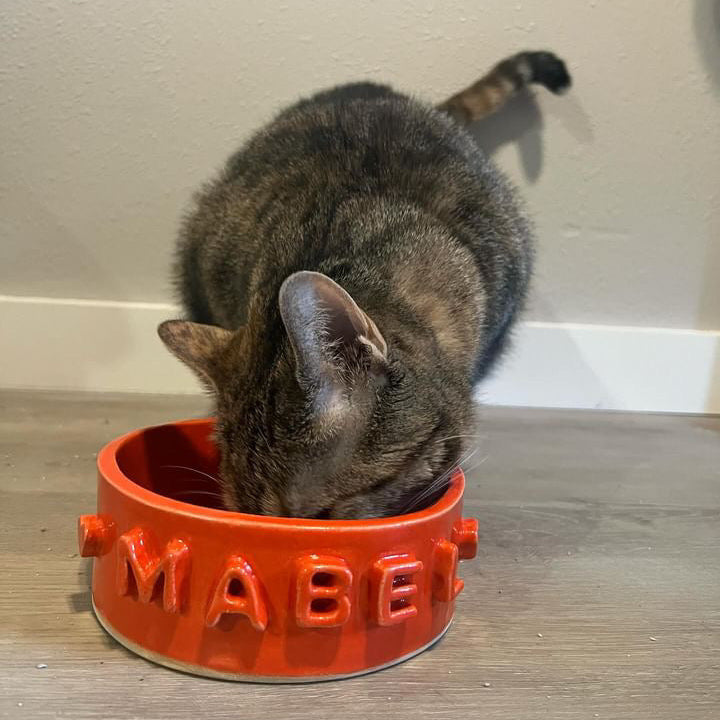 Pet Bowl Workshop: Saturday • July 12th • 11am-1pm
