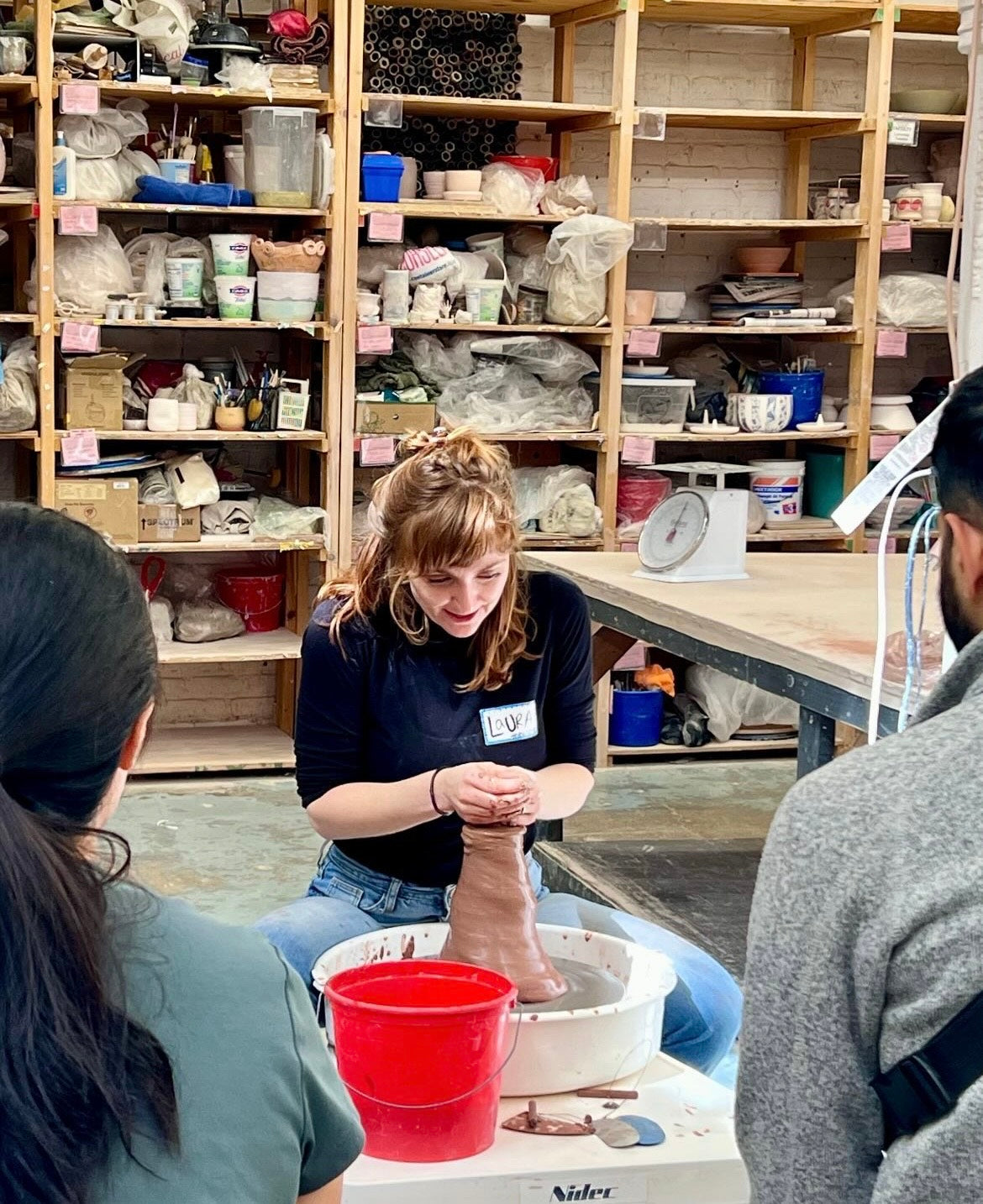 Developing Voice with  Laura Williams: Saturday & Sunday • February 7-8th • 12pm - 4pm